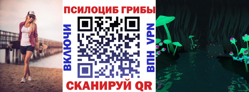 Псилоцибиновые грибы Psilocybe  магазин продажи   Краснознаменск 
