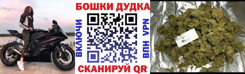 Каннабис планчик  блэк спрут ТОР  Краснознаменск  закладка 
